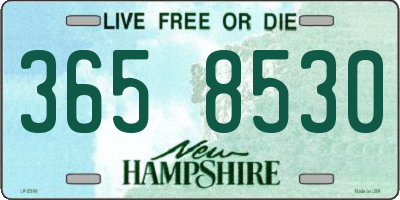 NH license plate 3658530