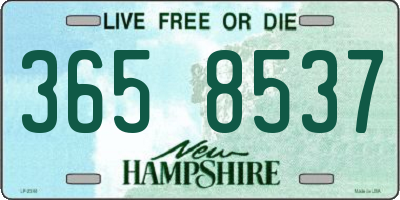 NH license plate 3658537