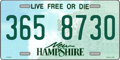 NH license plate 3658730