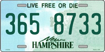NH license plate 3658733