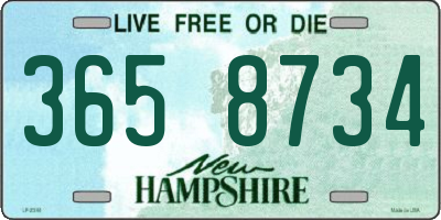 NH license plate 3658734