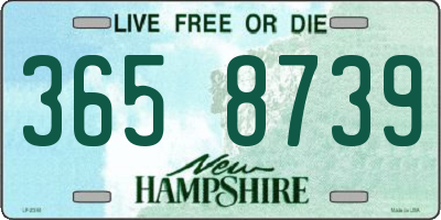 NH license plate 3658739