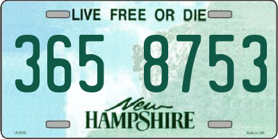 NH license plate 3658753