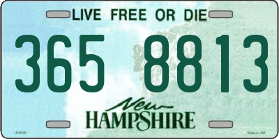 NH license plate 3658813