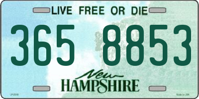 NH license plate 3658853