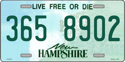 NH license plate 3658902