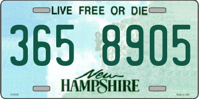 NH license plate 3658905