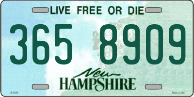 NH license plate 3658909