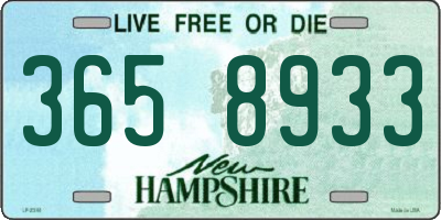 NH license plate 3658933