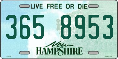 NH license plate 3658953