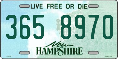 NH license plate 3658970