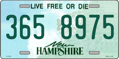 NH license plate 3658975