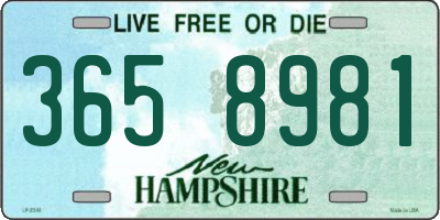 NH license plate 3658981