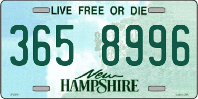 NH license plate 3658996