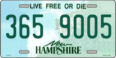 NH license plate 3659005