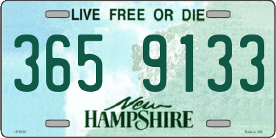 NH license plate 3659133