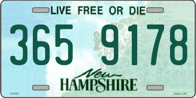 NH license plate 3659178