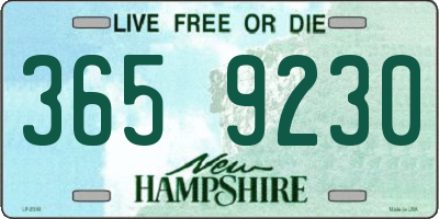 NH license plate 3659230