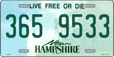 NH license plate 3659533