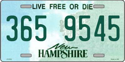 NH license plate 3659545