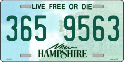 NH license plate 3659563