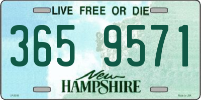NH license plate 3659571