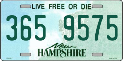 NH license plate 3659575
