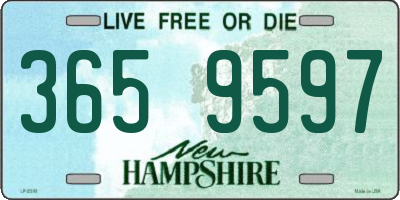NH license plate 3659597