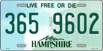 NH license plate 3659602