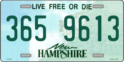 NH license plate 3659613