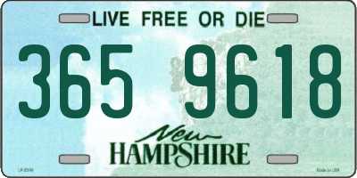 NH license plate 3659618