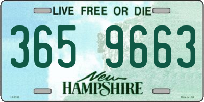 NH license plate 3659663