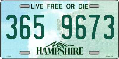NH license plate 3659673