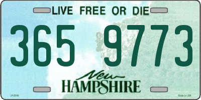 NH license plate 3659773