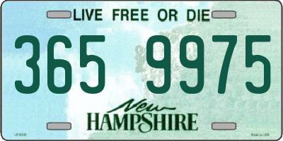 NH license plate 3659975