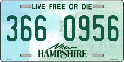 NH license plate 3660956