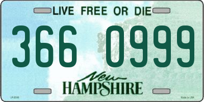 NH license plate 3660999