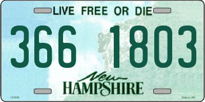 NH license plate 3661803
