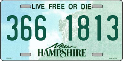 NH license plate 3661813
