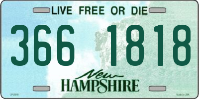 NH license plate 3661818