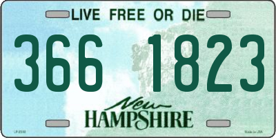 NH license plate 3661823