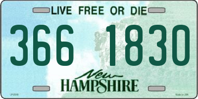 NH license plate 3661830