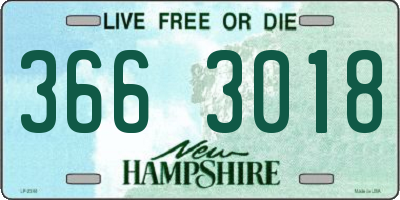 NH license plate 3663018
