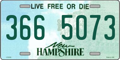 NH license plate 3665073