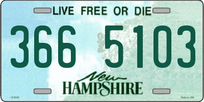 NH license plate 3665103