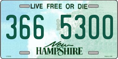 NH license plate 3665300