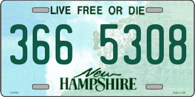 NH license plate 3665308