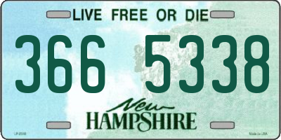 NH license plate 3665338