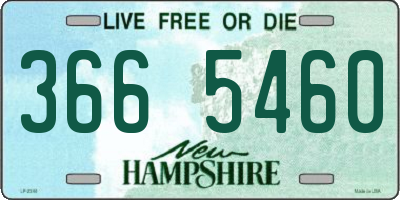 NH license plate 3665460
