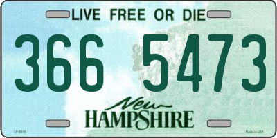 NH license plate 3665473